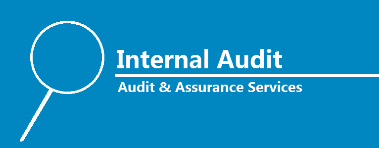 Internal audit services